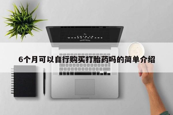 私人卖打胎药货到付款的6个月可以自行购买打胎药吗的简单介绍